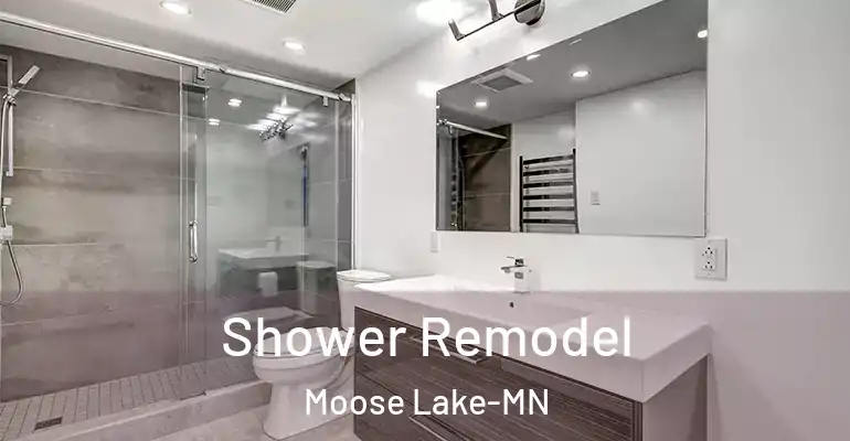inner Bathroom imggen Shower Remodel Moose Lake-MN