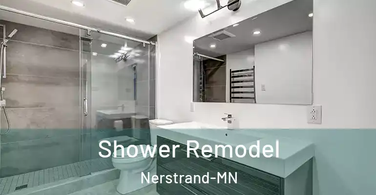 inner Bathroom imggen Shower Remodel Nerstrand-MN