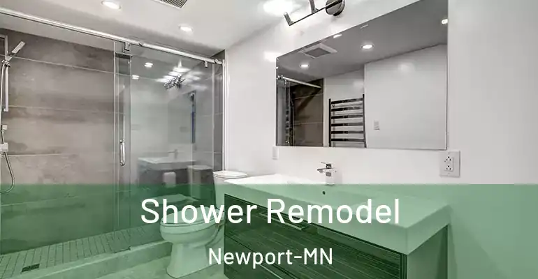 inner Bathroom imggen Shower Remodel Newport-MN