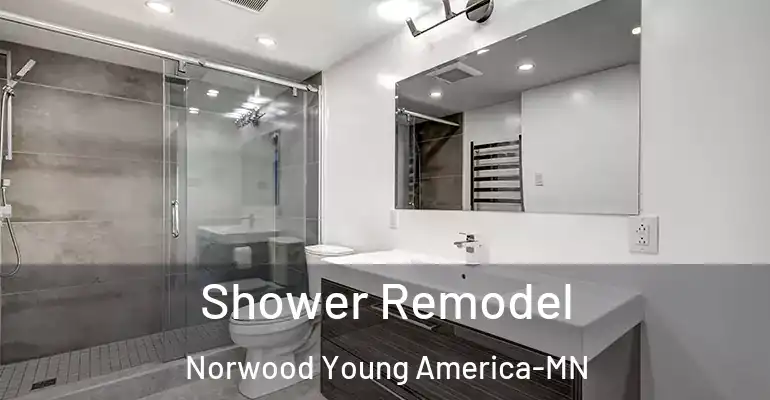 inner Bathroom imggen Shower Remodel Norwood Young America-MN