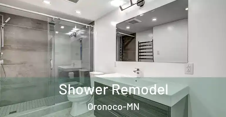 inner Bathroom imggen Shower Remodel Oronoco-MN