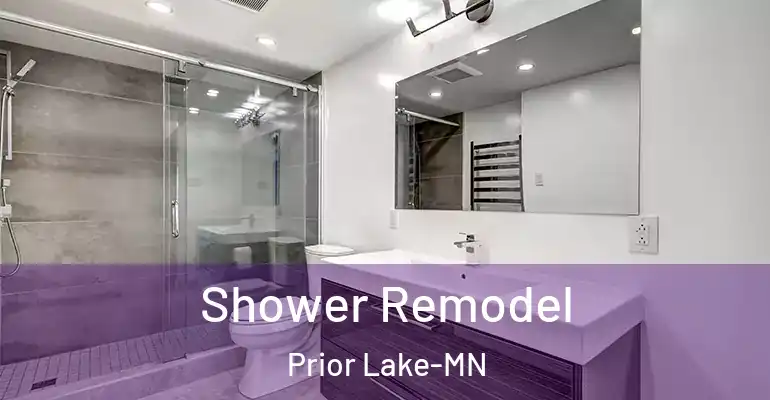 inner Bathroom imggen Shower Remodel Prior Lake-MN