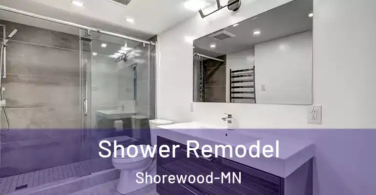inner Bathroom imggen Shower Remodel Shorewood-MN