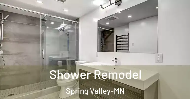 inner Bathroom imggen Shower Remodel Spring Valley-MN