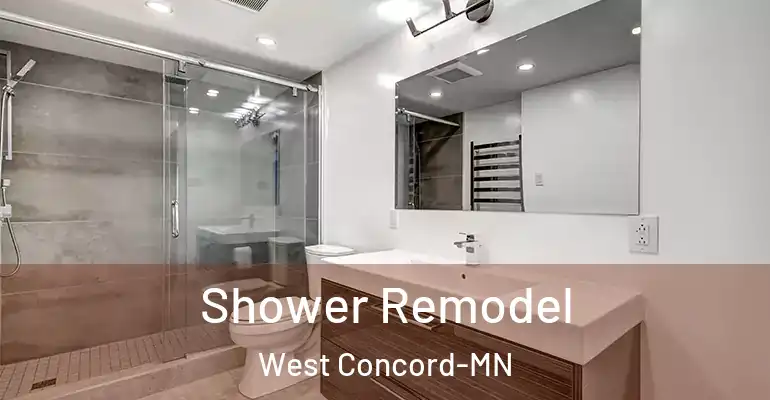 inner Bathroom imggen Shower Remodel West Concord-MN