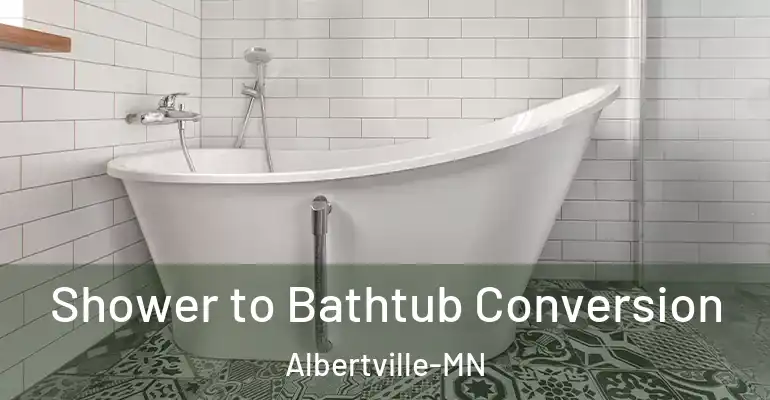 inner Bathroom imggen Shower to Bathtub Conversion Albertville-MN