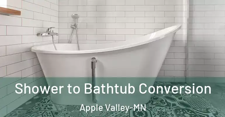 inner Bathroom imggen Shower to Bathtub Conversion Apple Valley-MN