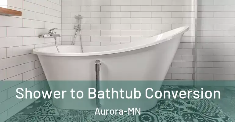 inner Bathroom imggen Shower to Bathtub Conversion Aurora-MN
