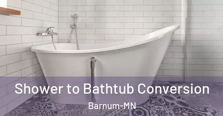 inner Bathroom imggen Shower to Bathtub Conversion Barnum-MN