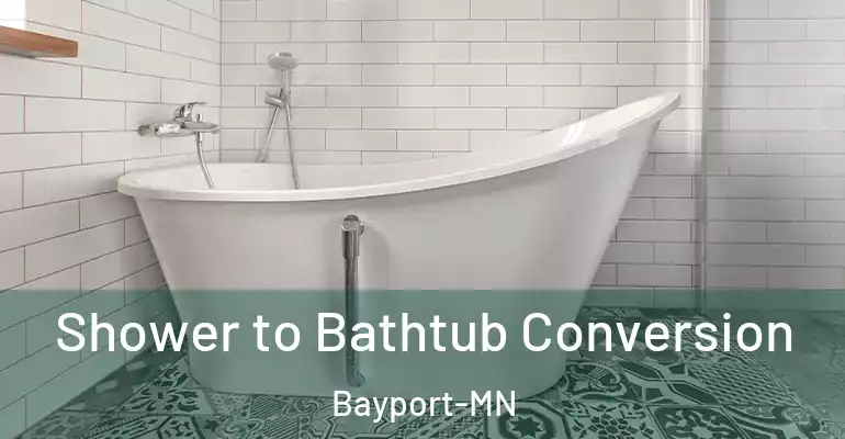 inner Bathroom imggen Shower to Bathtub Conversion Bayport-MN