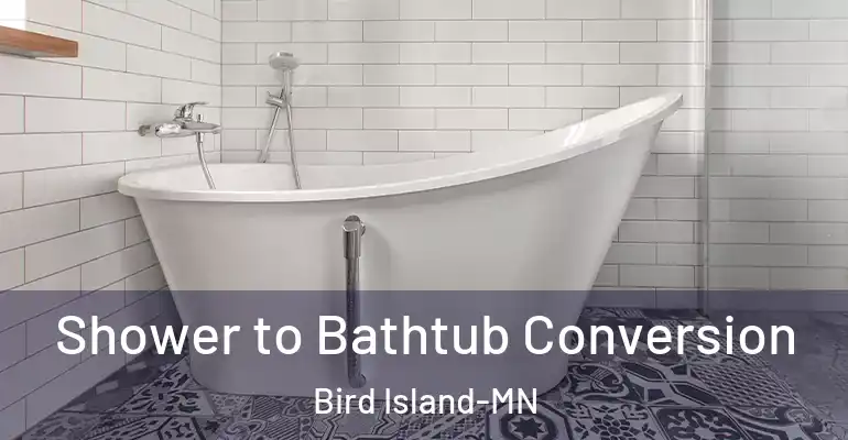 inner Bathroom imggen Shower to Bathtub Conversion Bird Island-MN