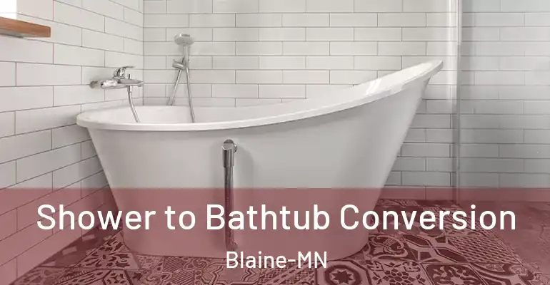 inner Bathroom imggen Shower to Bathtub Conversion Blaine-MN