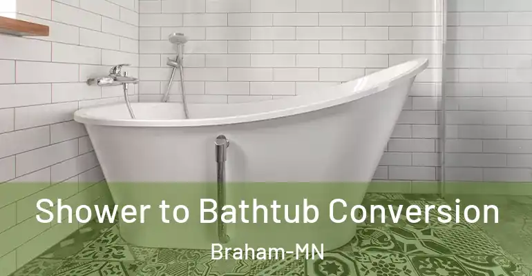 inner Bathroom imggen Shower to Bathtub Conversion Braham-MN