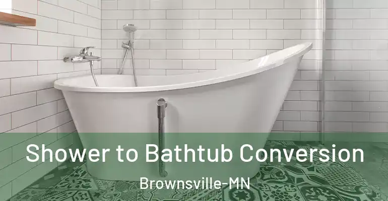 inner Bathroom imggen Shower to Bathtub Conversion Brownsville-MN