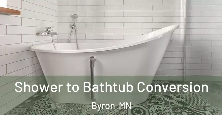 inner Bathroom imggen Shower to Bathtub Conversion Byron-MN