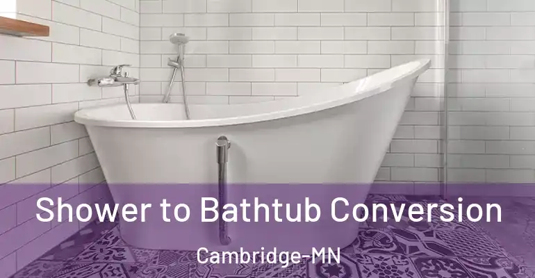 inner Bathroom imggen Shower to Bathtub Conversion Cambridge-MN
