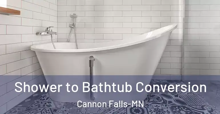 inner Bathroom imggen Shower to Bathtub Conversion Cannon Falls-MN