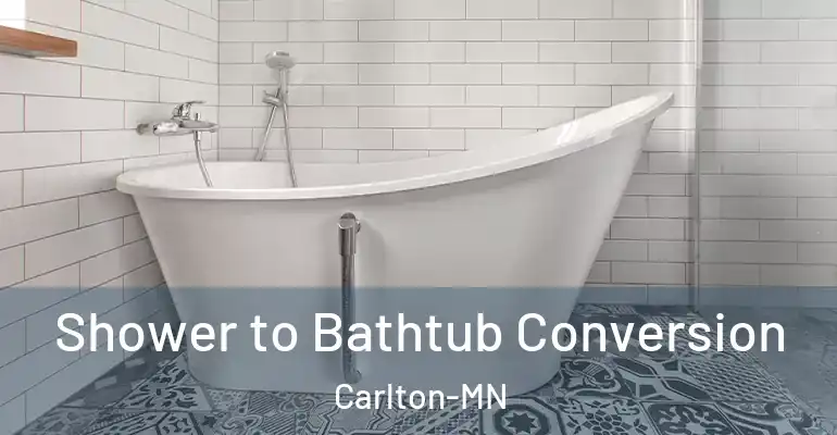 inner Bathroom imggen Shower to Bathtub Conversion Carlton-MN