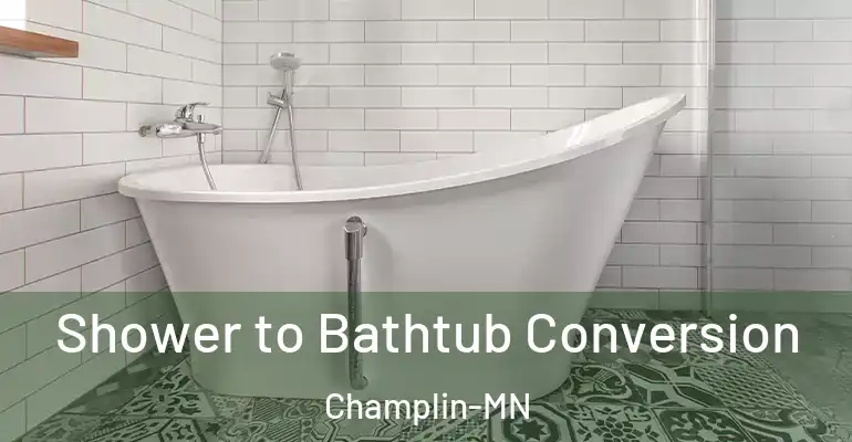 inner Bathroom imggen Shower to Bathtub Conversion Champlin-MN