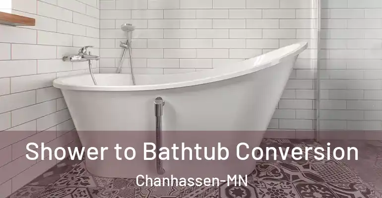 inner Bathroom imggen Shower to Bathtub Conversion Chanhassen-MN