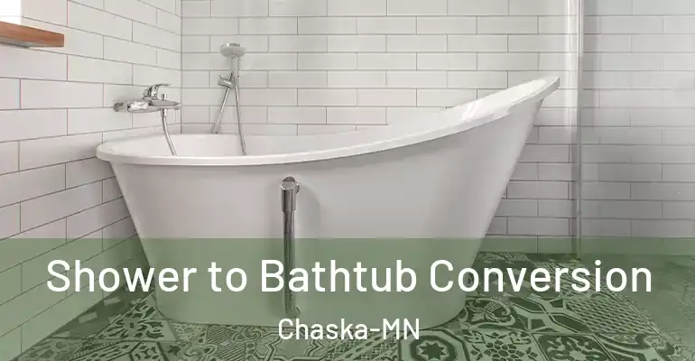 inner Bathroom imggen Shower to Bathtub Conversion Chaska-MN