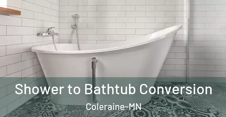 inner Bathroom imggen Shower to Bathtub Conversion Coleraine-MN