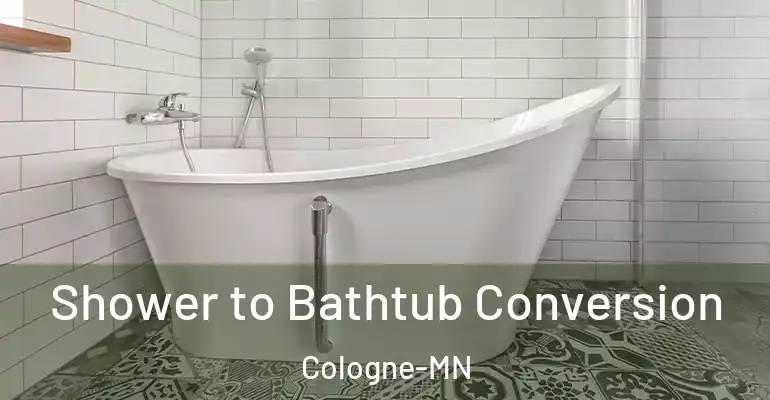 inner Bathroom imggen Shower to Bathtub Conversion Cologne-MN