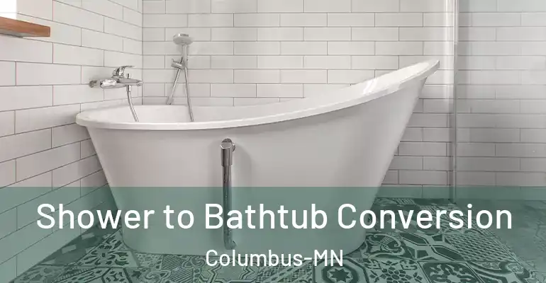 inner Bathroom imggen Shower to Bathtub Conversion Columbus-MN