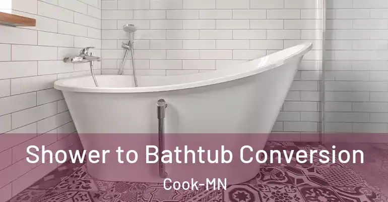 inner Bathroom imggen Shower to Bathtub Conversion Cook-MN