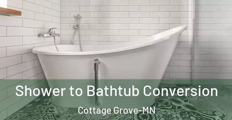 inner Bathroom imggen Shower to Bathtub Conversion Cottage Grove-MN