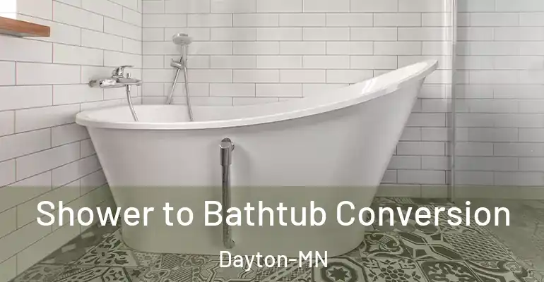 inner Bathroom imggen Shower to Bathtub Conversion Dayton-MN