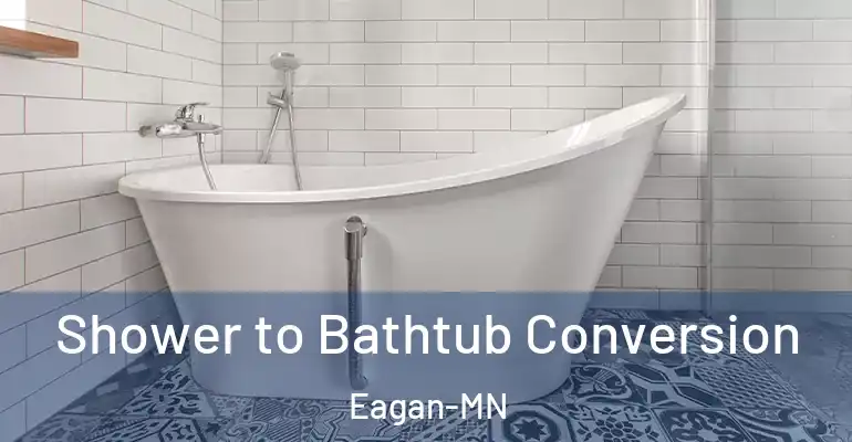 inner Bathroom imggen Shower to Bathtub Conversion Eagan-MN