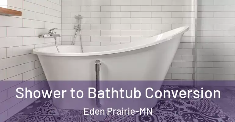 inner Bathroom imggen Shower to Bathtub Conversion Eden Prairie-MN