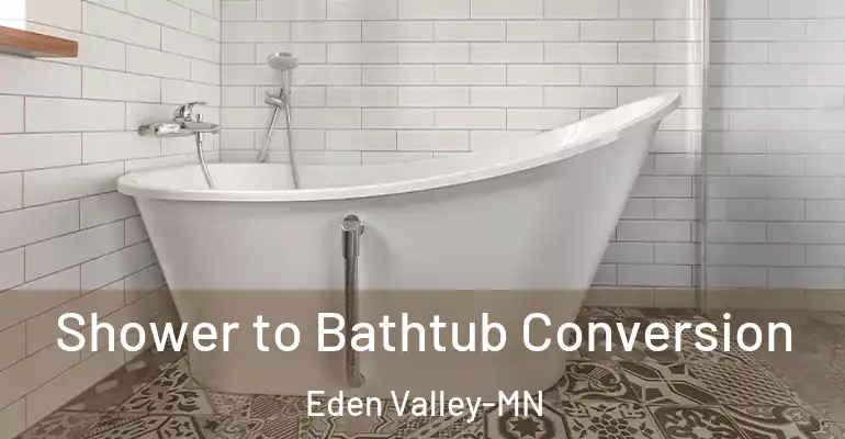 inner Bathroom imggen Shower to Bathtub Conversion Eden Valley-MN