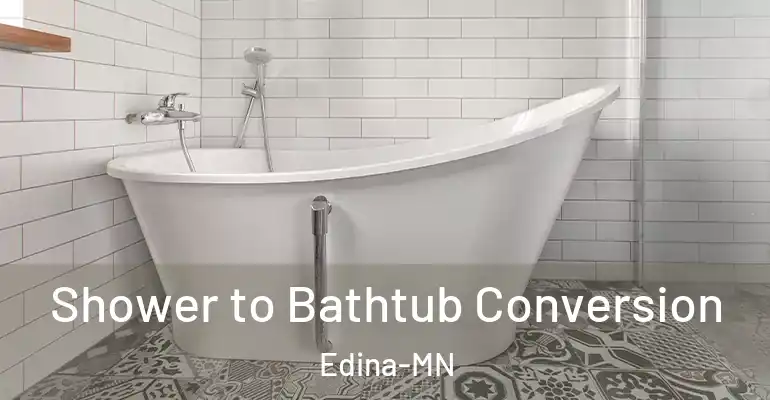 inner Bathroom imggen Shower to Bathtub Conversion Edina-MN