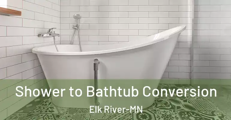 inner Bathroom imggen Shower to Bathtub Conversion Elk River-MN