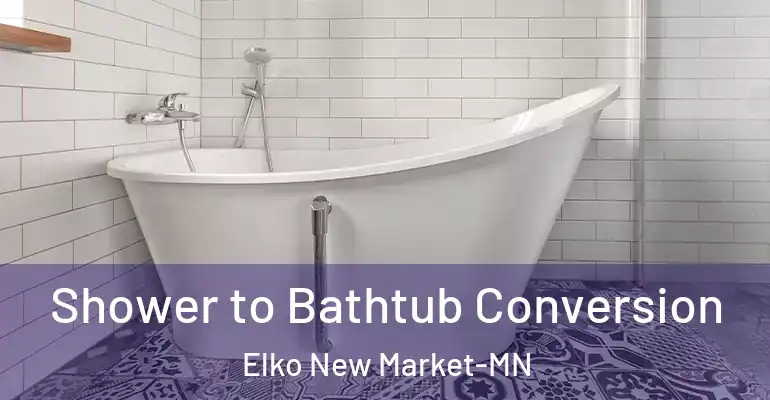 inner Bathroom imggen Shower to Bathtub Conversion Elko New Market-MN