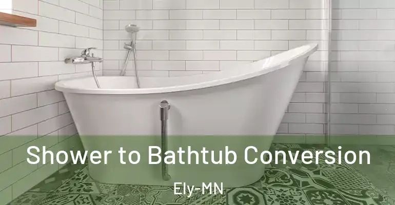 inner Bathroom imggen Shower to Bathtub Conversion Ely-MN