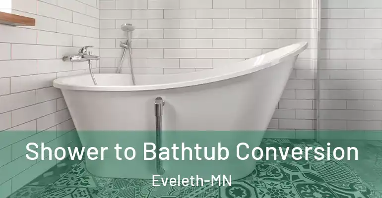inner Bathroom imggen Shower to Bathtub Conversion Eveleth-MN