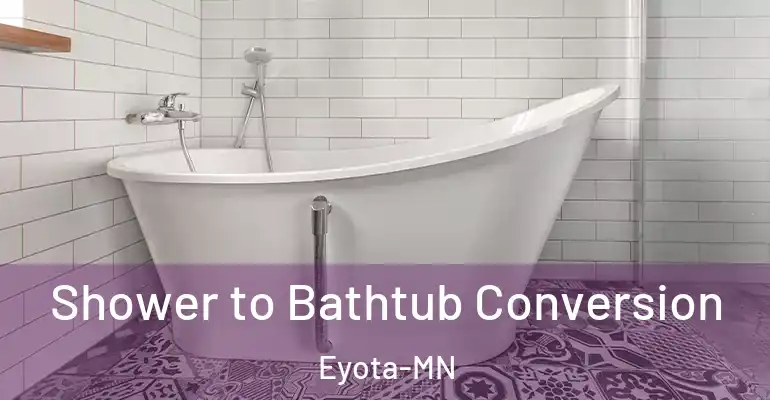inner Bathroom imggen Shower to Bathtub Conversion Eyota-MN
