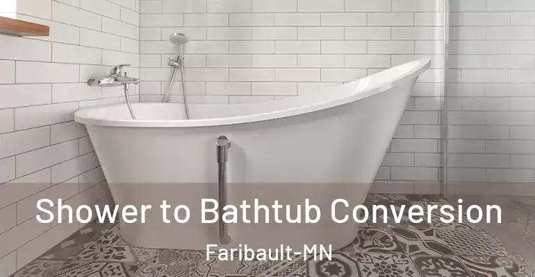 inner Bathroom imggen Shower to Bathtub Conversion Faribault-MN