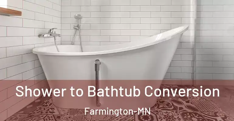 inner Bathroom imggen Shower to Bathtub Conversion Farmington-MN