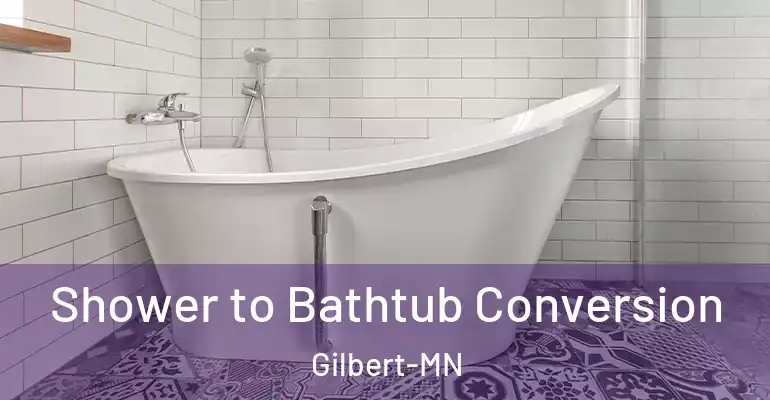 inner Bathroom imggen Shower to Bathtub Conversion Gilbert-MN