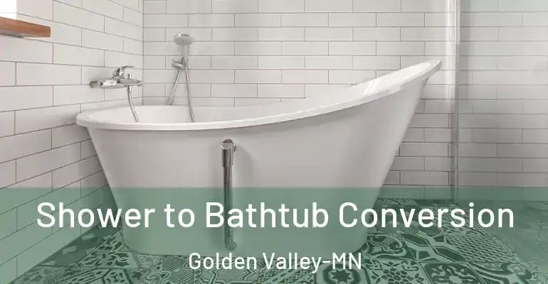 inner Bathroom imggen Shower to Bathtub Conversion Golden Valley-MN