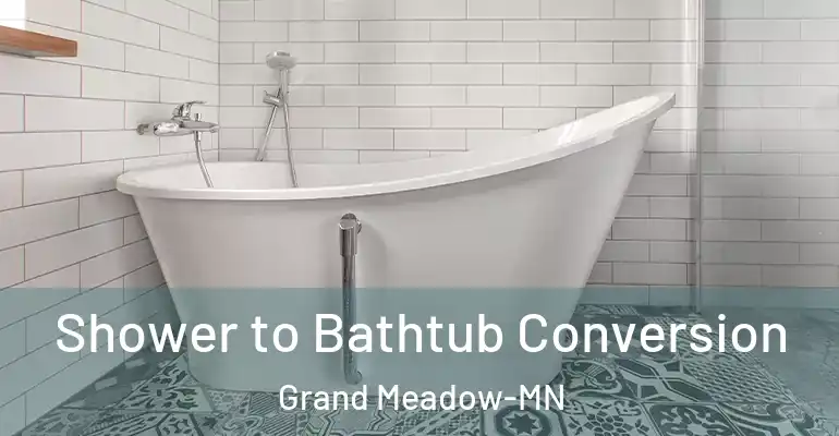 inner Bathroom imggen Shower to Bathtub Conversion Grand Meadow-MN