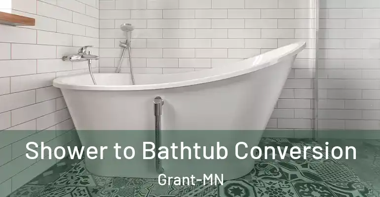 inner Bathroom imggen Shower to Bathtub Conversion Grant-MN
