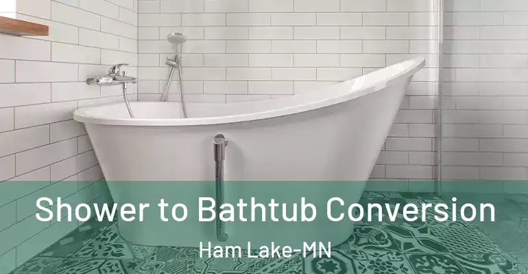 inner Bathroom imggen Shower to Bathtub Conversion Ham Lake-MN