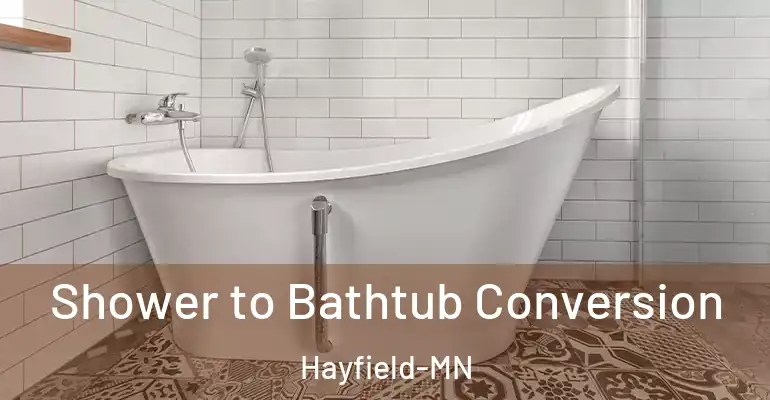 inner Bathroom imggen Shower to Bathtub Conversion Hayfield-MN