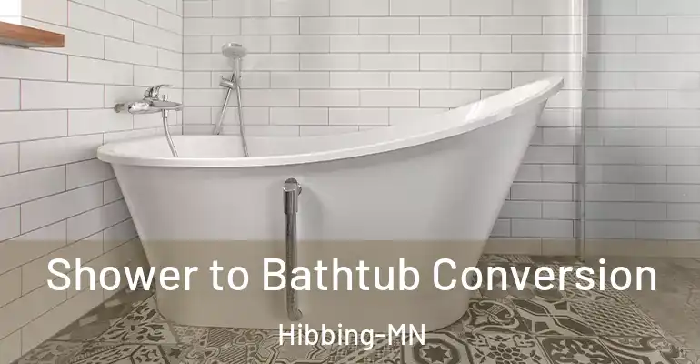 inner Bathroom imggen Shower to Bathtub Conversion Hibbing-MN