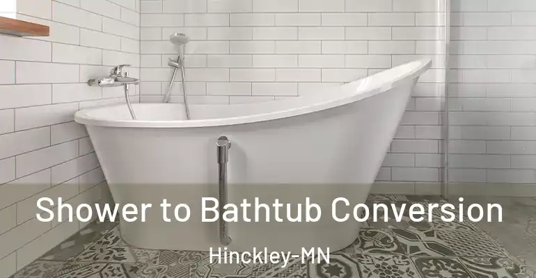 inner Bathroom imggen Shower to Bathtub Conversion Hinckley-MN